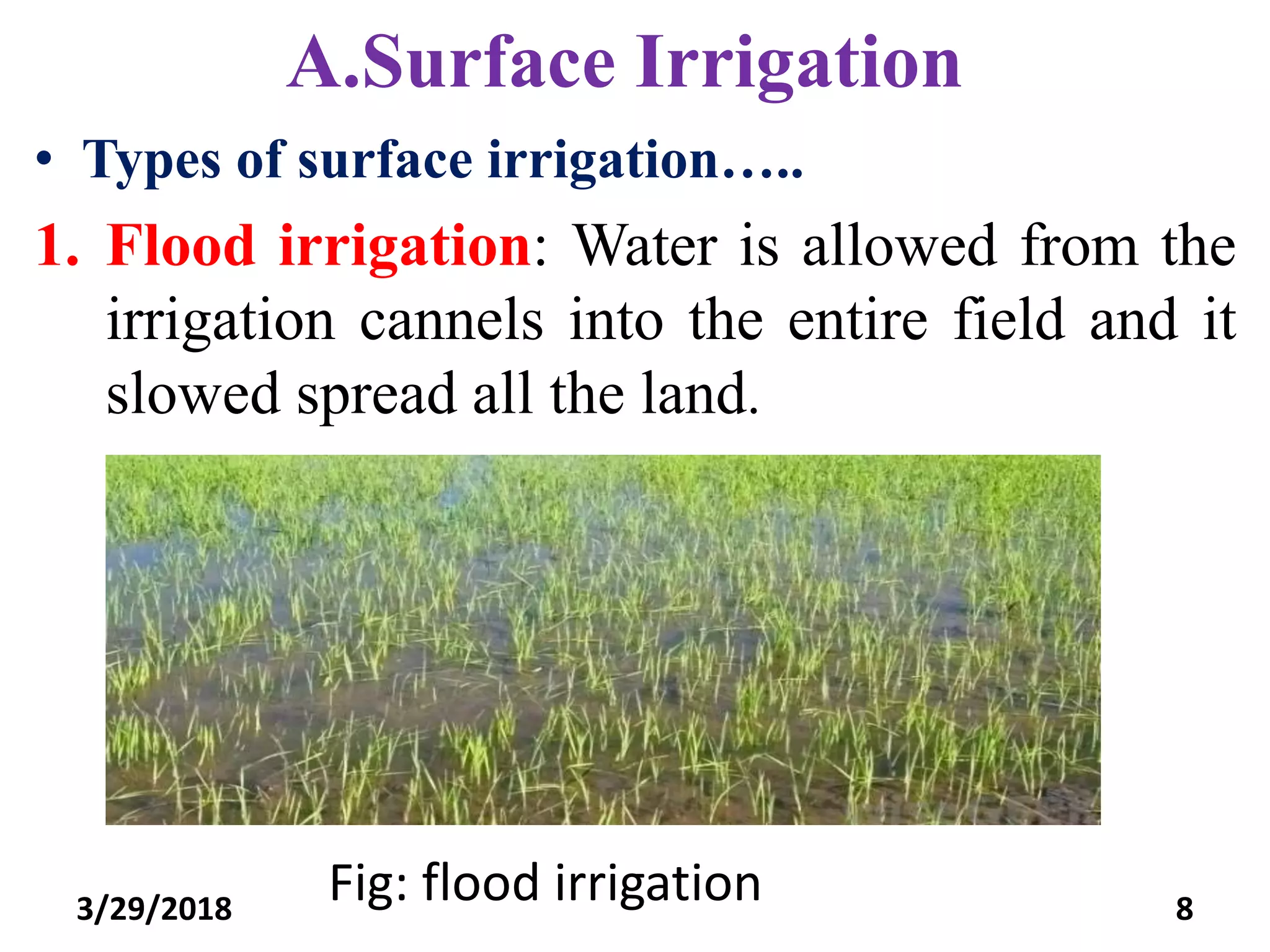 Presentation on Irrigation PPT
