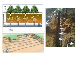 Irrigation and fertilizer application methods in horticultural crops by ...