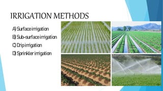 IRRIGATION AND ITS METHODS (In Agriculture).pptx