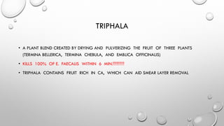 TRIPHALA
• A PLANT BLEND CREATED BY DRYING AND PULVERIZING THE FRUIT OF THREE PLANTS
(TERMINA BELLERICA, TERMINA CHEBULA, AND EMBLICA OFFICINALIS)
• KILLS 100% OF E. FAECALIS WITHIN 6 MIN.!!!!!!!!!
• TRIPHALA CONTAINS FRUIT RICH IN CA, WHICH CAN AID SMEAR LAYER REMOVAL
 