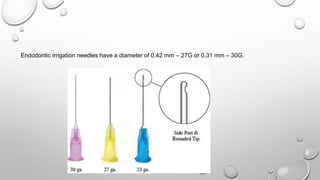 Endodontic irrigation needles have a diameter of 0.42 mm – 27G or 0.31 mm – 30G.
 