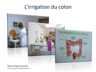 L’irrigation du colon Marie-Ange Guivarch marie-ange.guivarch@wanadoo.fr 