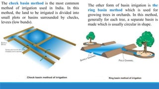 The other form of basin irrigation is the
ring basin method which is used for
growing trees in orchards. In this method,
generally for each tree, a separate basin is
made which is usually circular in shape.
The check basin method is the most common
method of irrigation used in India. In this
method, the land to be irrigated is divided into
small plots or basins surrounded by checks,
levees (low bunds).
 