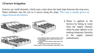 3.Furrow Irrigation
Furrows are small channels, which carry water down the land slope between the crop rows.
Water infiltrates into the soil as it moves along the slope. The crop is usually grown on
ridges between the furrows.
 Water is applied to the
furrows by letting in water
from the supply channel,
either by pipe siphons or by
making temporary breaches
in the supply channel
embankment.
 