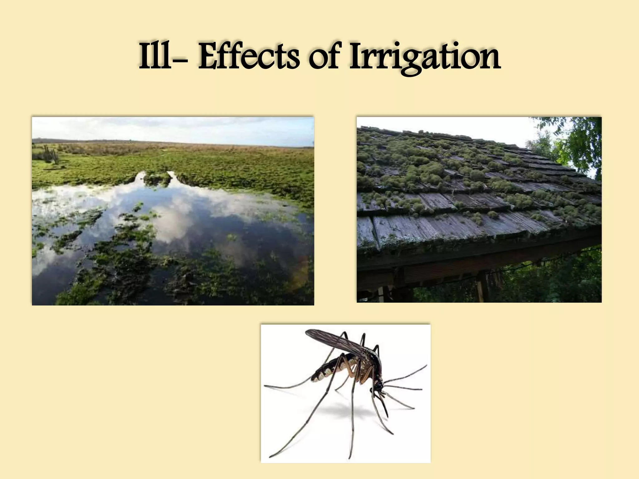 Ill- Effects of Irrigation
 