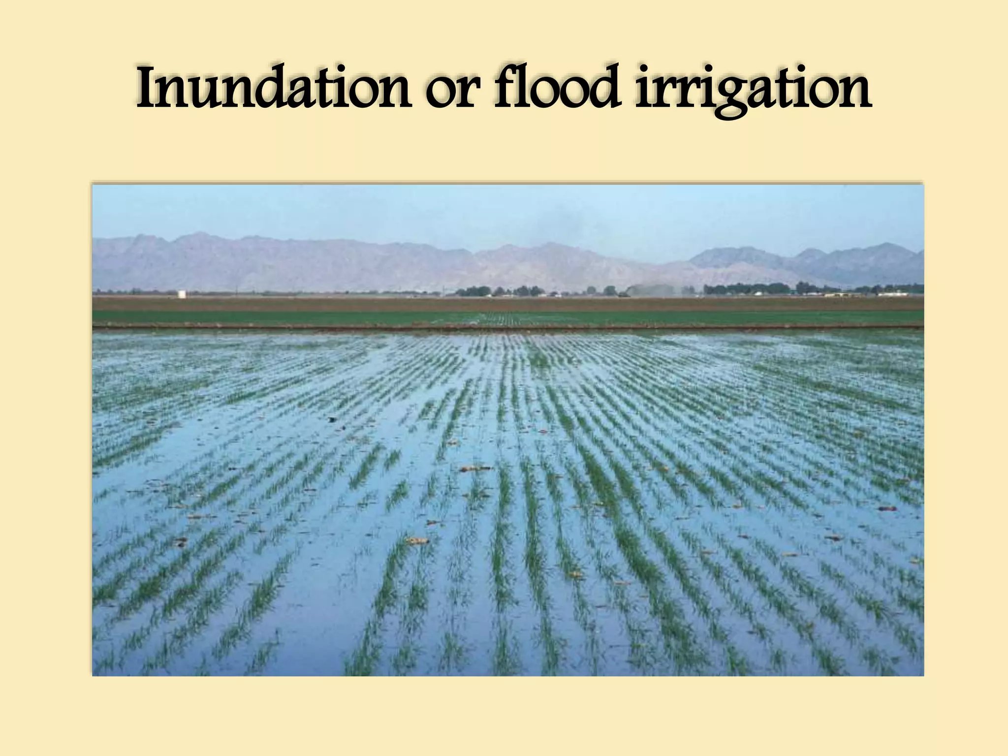 Inundation or flood irrigation
 