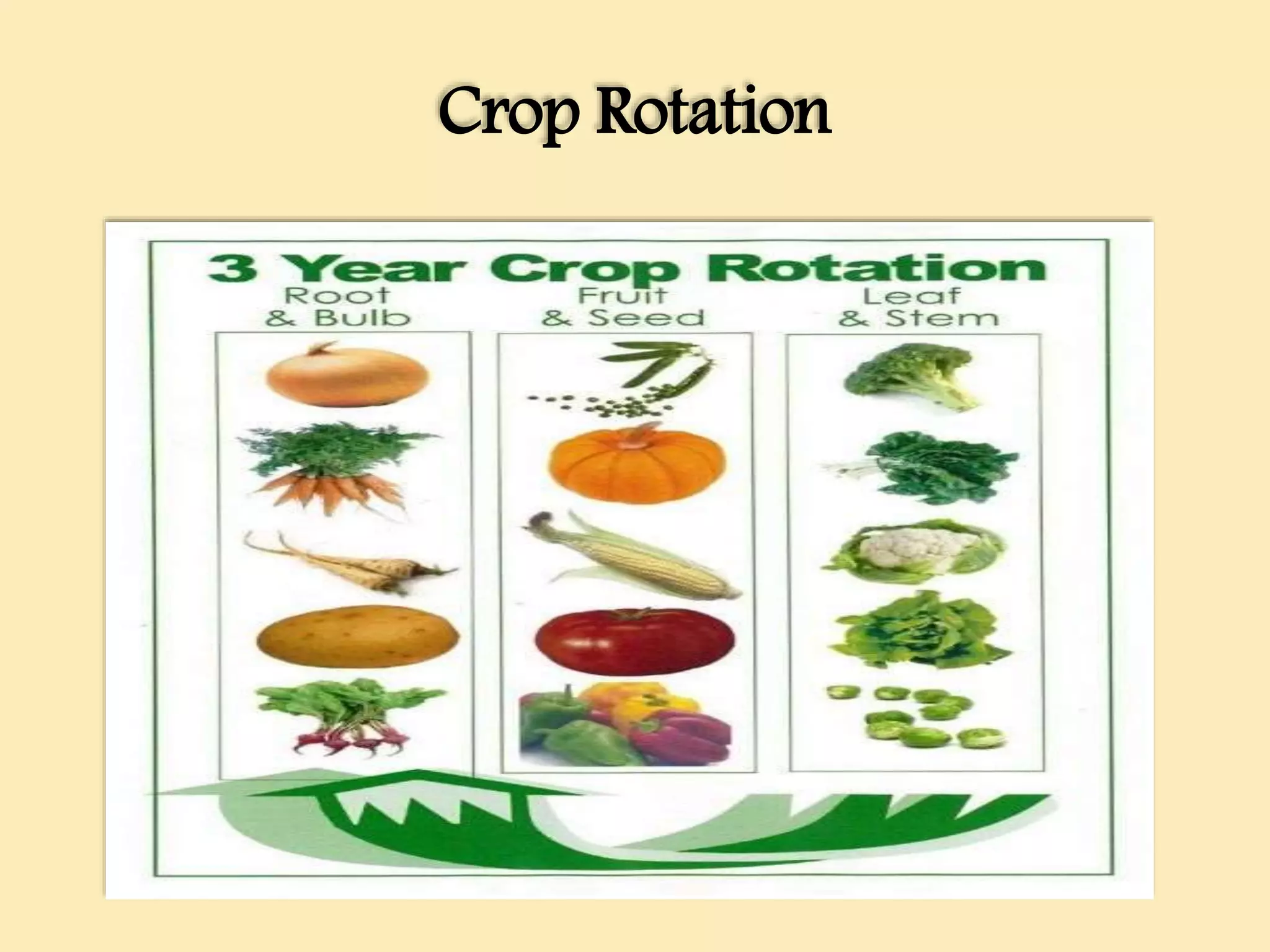 Crop Rotation
 