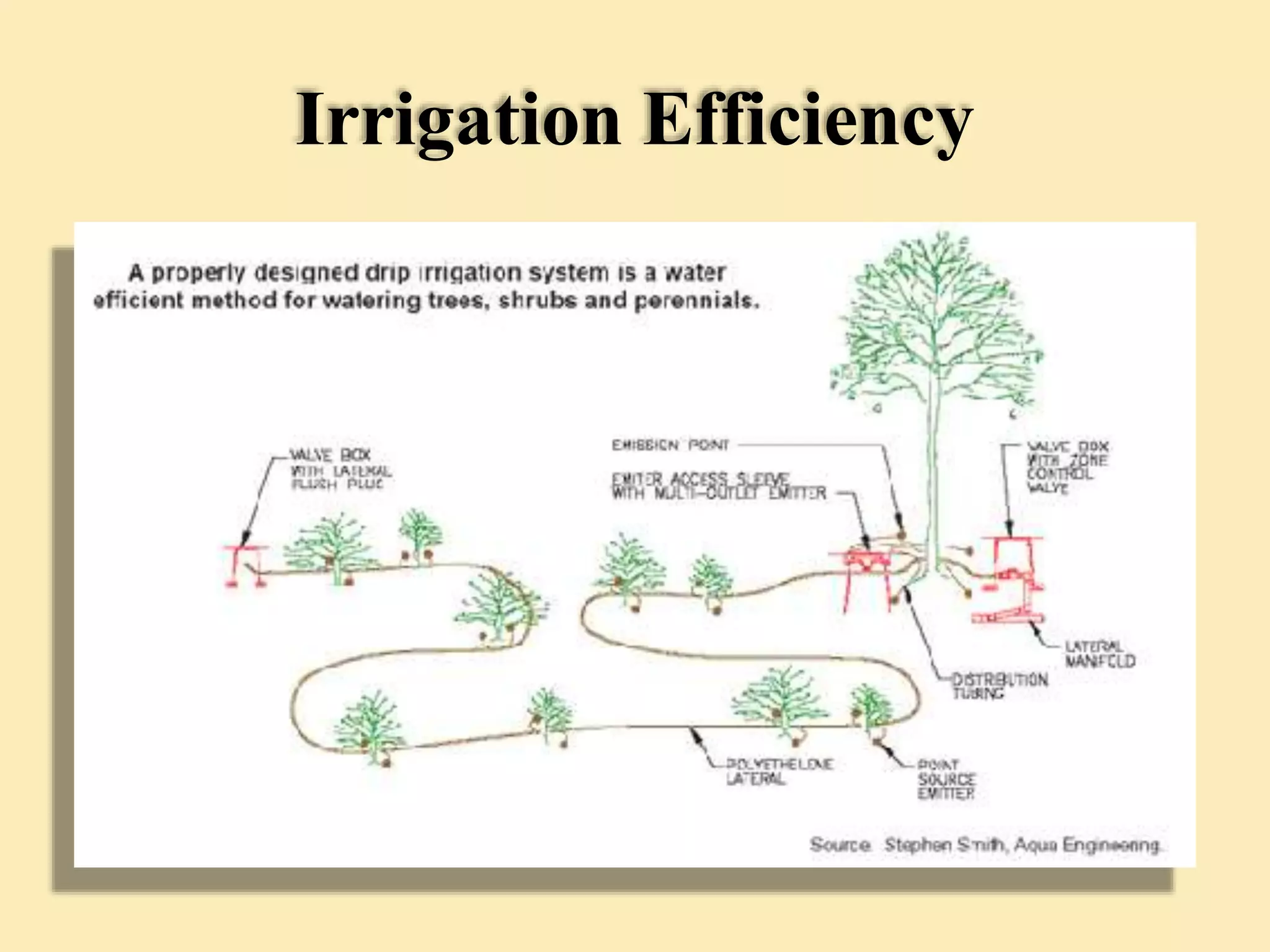 Irrigation Efficiency
 