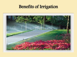 Benefits of Irrigation
 