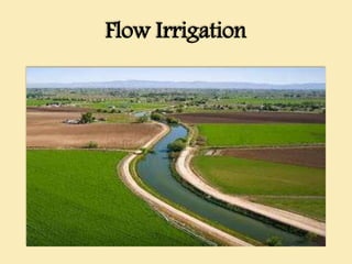Flow Irrigation
 