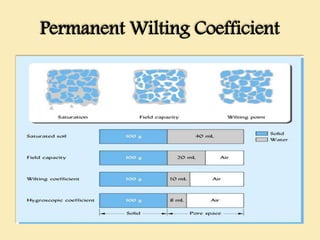 Permanent Wilting Coefficient
 