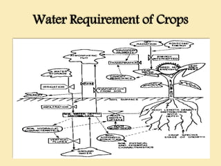 Water Requirement of Crops
 