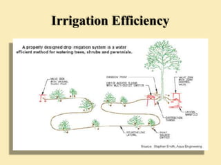 Irrigation Efficiency
 
