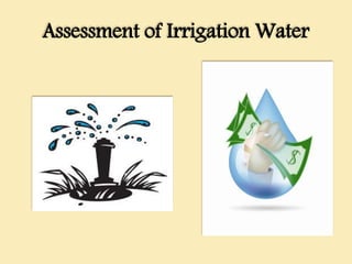 Assessment of Irrigation Water
 