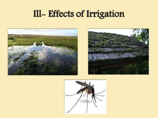 Ill- Effects of Irrigation
 