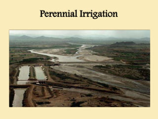 Perennial Irrigation
 