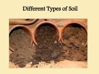 Different Types of Soil
 