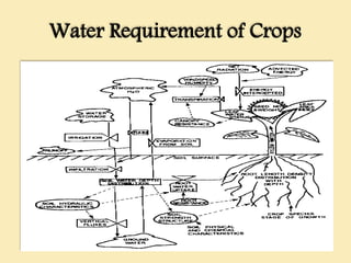 Water Requirement of Crops
 