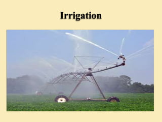 Irrigation
 