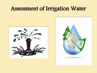 Assessment of Irrigation Water
 
