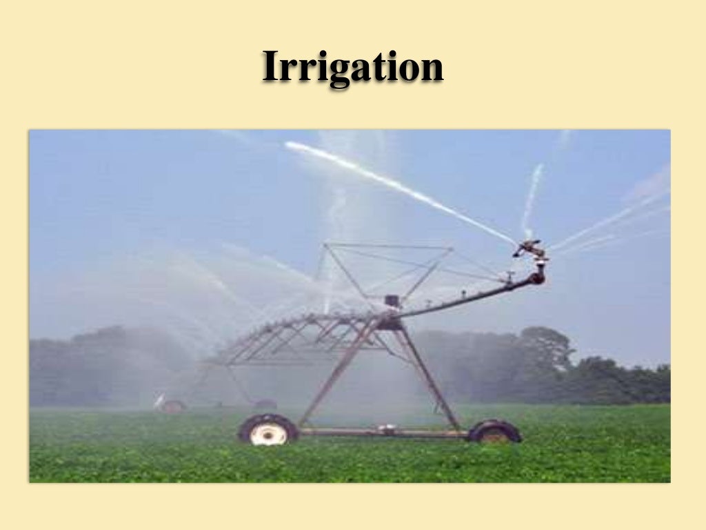 Irrigation Engineering