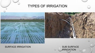 TYPES OF IRRIGATION
SURFACE IRRIGATION SUB SURFACE
IRRIGATION
 