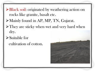 Black soil: originated by weathering action on
 rocks like granite, basalt etc.
Mainly found in AP, MP, TN, Gujarat.
They are sticky when wet and very hard when
 dry.
Suitable for
 cultivation of cotton.
 