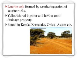 Laterite soil: formed by weathering action of
 laterite rocks.
Yellowish red in color and having good
 drainage property.
Found in Kerala, Karnataka, Orissa, Assam etc.
 