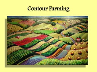 Contour Farming
 