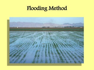 Flooding Method
 