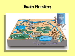 Basin Flooding
 