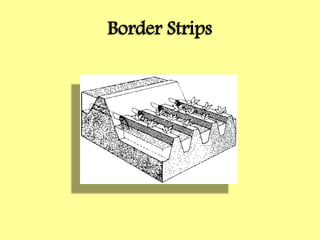 Border Strips
 