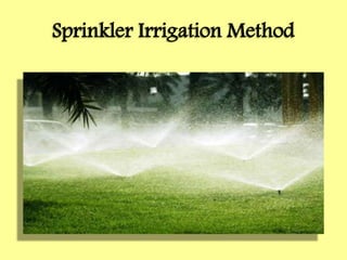 Sprinkler Irrigation Method
 