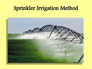 Sprinkler Irrigation Method
 