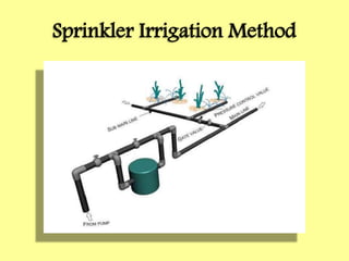 Sprinkler Irrigation Method
 