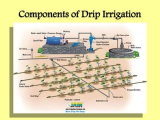 Components of Drip Irrigation
 