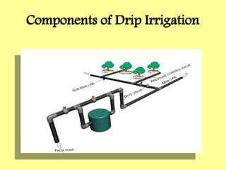 Components of Drip Irrigation
 
