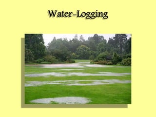 Water-Logging
 