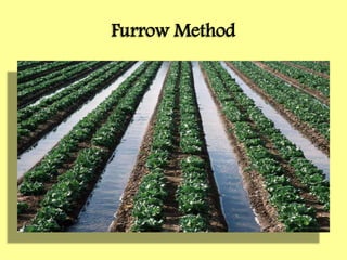 Furrow Method
 