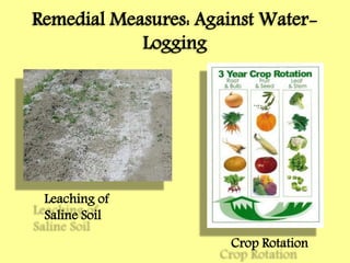 Remedial Measures: Against Water-
Logging
Leaching of
Saline Soil
Crop Rotation
 