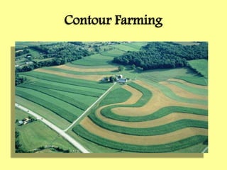 Contour Farming
 