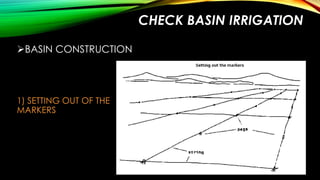 CHECK BASIN IRRIGATION
BASIN CONSTRUCTION

1) SETTING OUT OF THE
MARKERS

 
