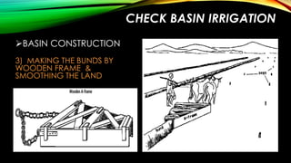 CHECK BASIN IRRIGATION
BASIN CONSTRUCTION
3) MAKING THE BUNDS BY
WOODEN FRAME &
SMOOTHING THE LAND

 