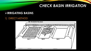 CHECK BASIN IRRIGATION
IRRIGATING BASINS
1) DIRECT METHOD

 