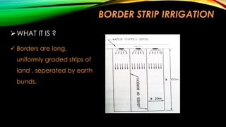 BORDER STRIP IRRIGATION
 WHAT IT IS ?
 Borders are long,
uniformly graded strips of
land , seperated by earth
bunds.

 