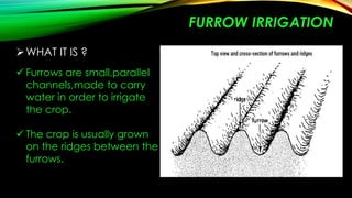 FURROW IRRIGATION
 WHAT IT IS ?
 Furrows are small,parallel
channels,made to carry
water in order to irrigate
the crop.
 The crop is usually grown
on the ridges between the
furrows.

 