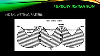 FURROW IRRIGATION
 IDEAL WETTING PATTERN

 
