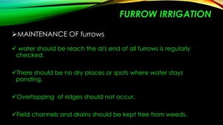 FURROW IRRIGATION
MAINTENANCE OF furrows
 water should be reach the d/s end of all furrows is regularly
checked.
There should be no dry places or spots where water stays
ponding.
Overtopping of ridges should not occur.
Field channels and drains should be kept free from weeds.

 