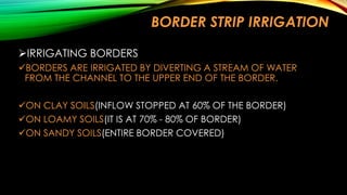 BORDER STRIP IRRIGATION
IRRIGATING BORDERS
BORDERS ARE IRRIGATED BY DIVERTING A STREAM OF WATER
FROM THE CHANNEL TO THE UPPER END OF THE BORDER.

ON CLAY SOILS(INFLOW STOPPED AT 60% OF THE BORDER)
ON LOAMY SOILS(IT IS AT 70% - 80% OF BORDER)
ON SANDY SOILS(ENTIRE BORDER COVERED)

 