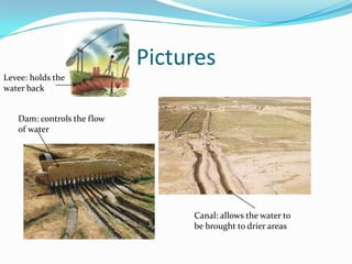 Pictures
Levee: holds the
water back


   Dam: controls the flow
   of water




                                 Canal: allows the water to
                                 be brought to drier areas
 